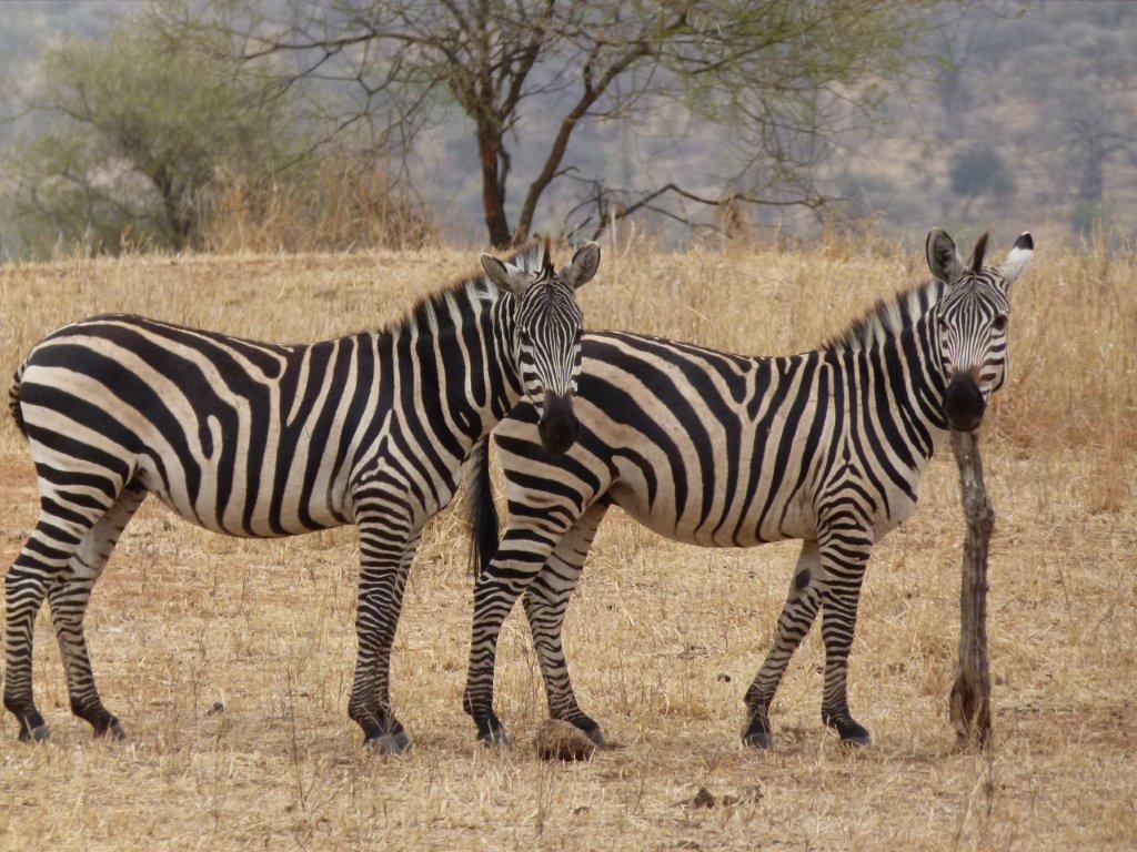 Saadan National Park
