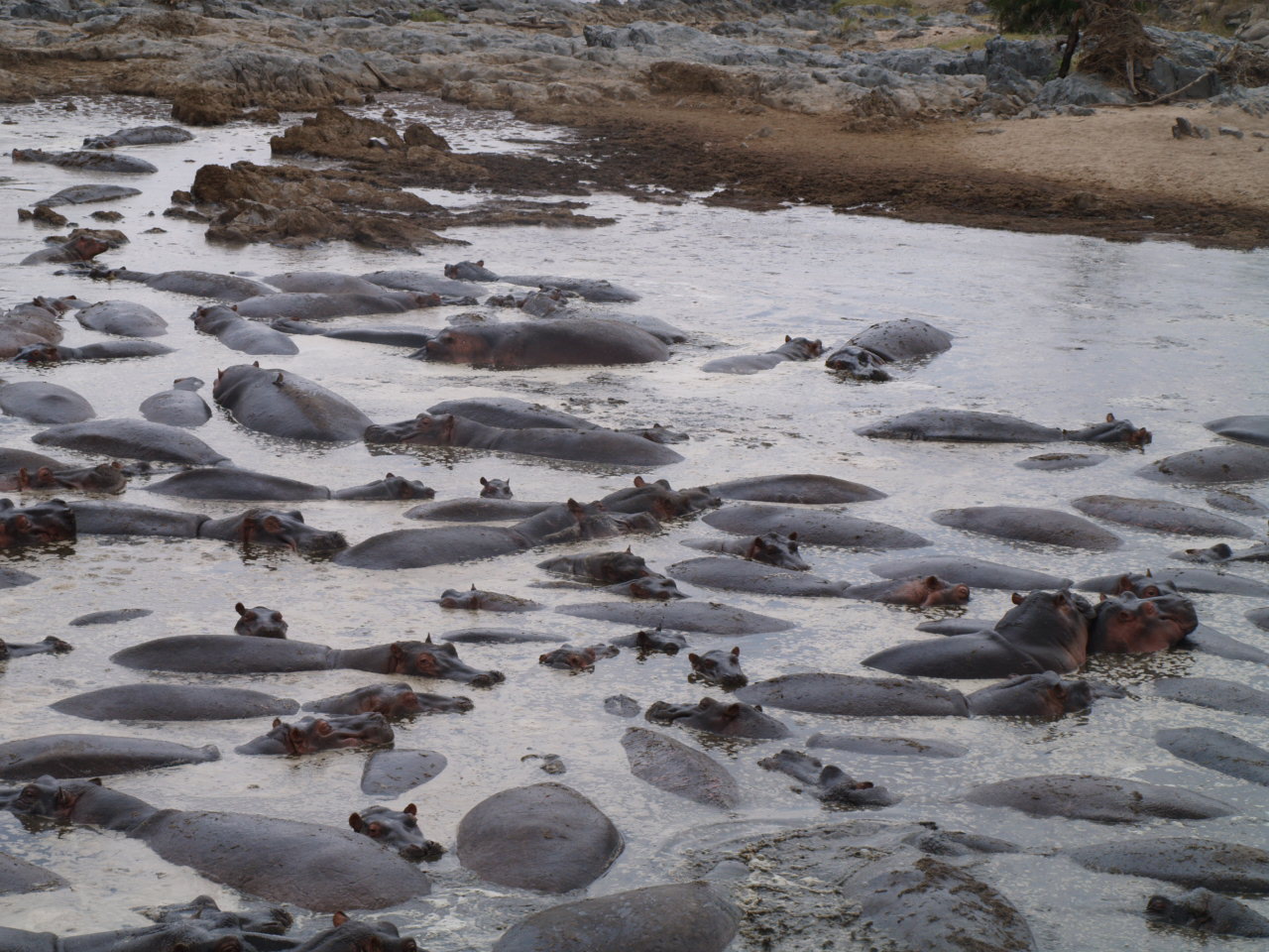 Katavi National Park