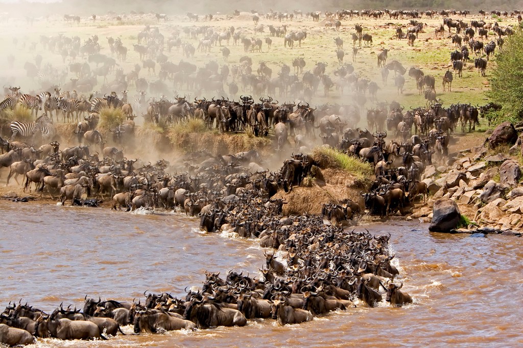 4 Day Safari to Tarangire Manyara Ngorongoro and Eyasi