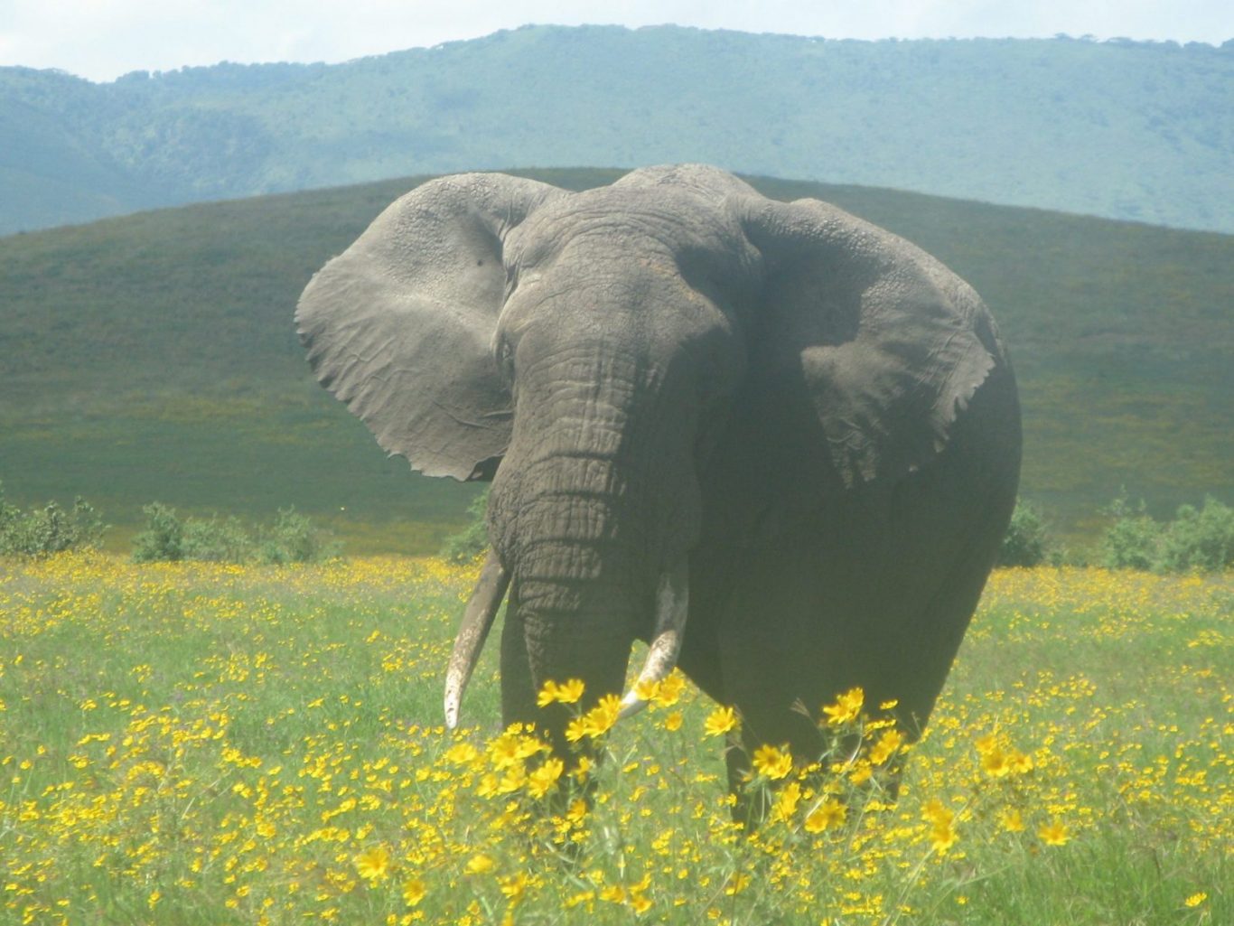 5 Days Mwanza Camping Safari
