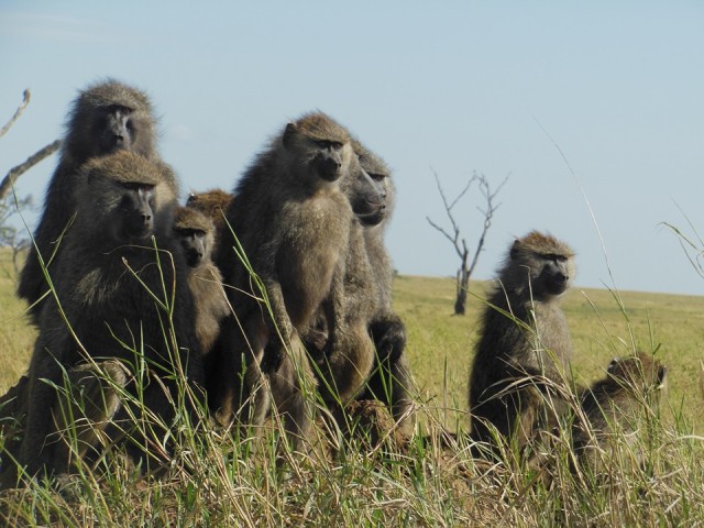 8 Days Tanzania Holiday