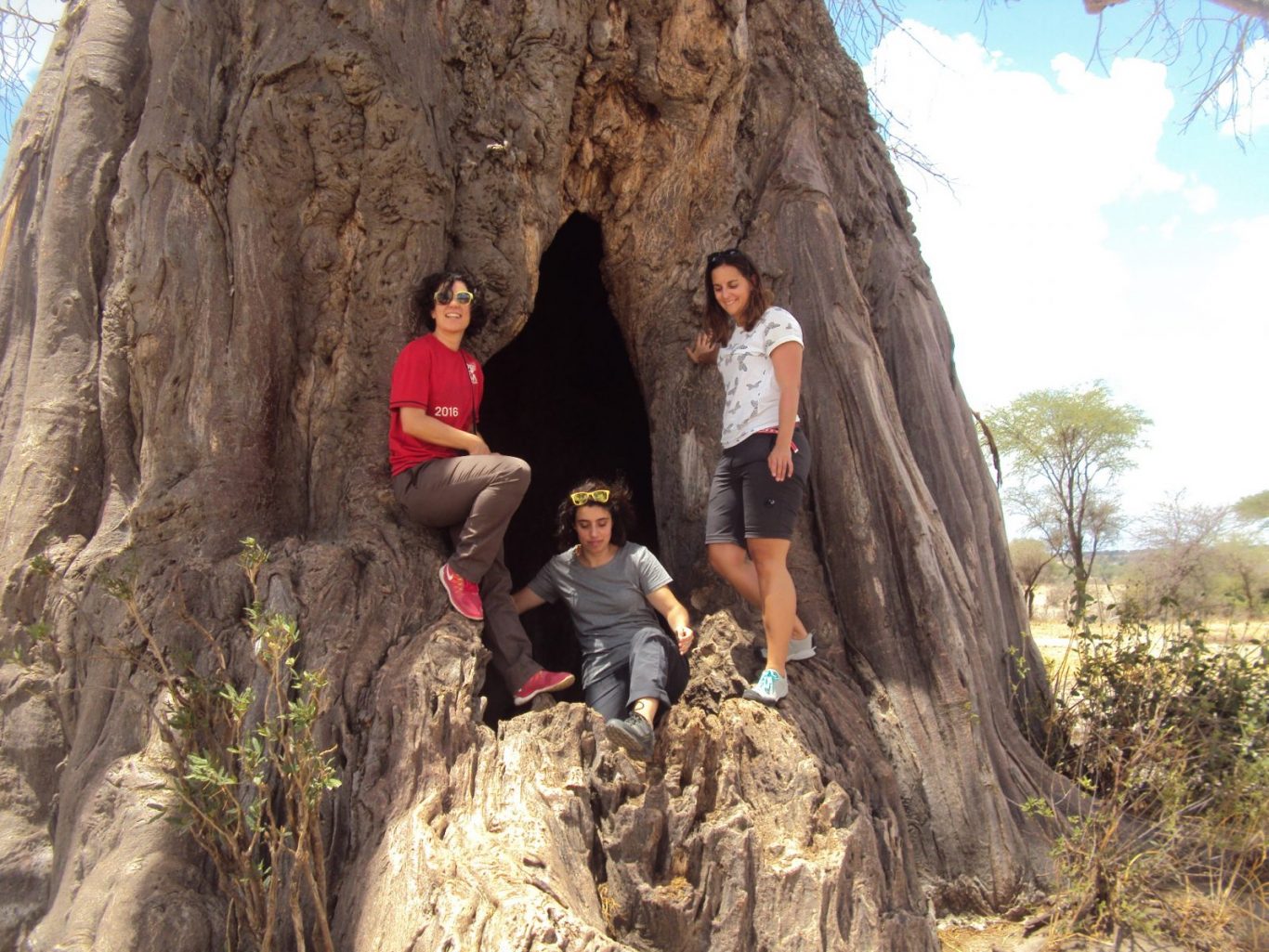 7 DAYS AFRICAN TRAVEL PACKAGE