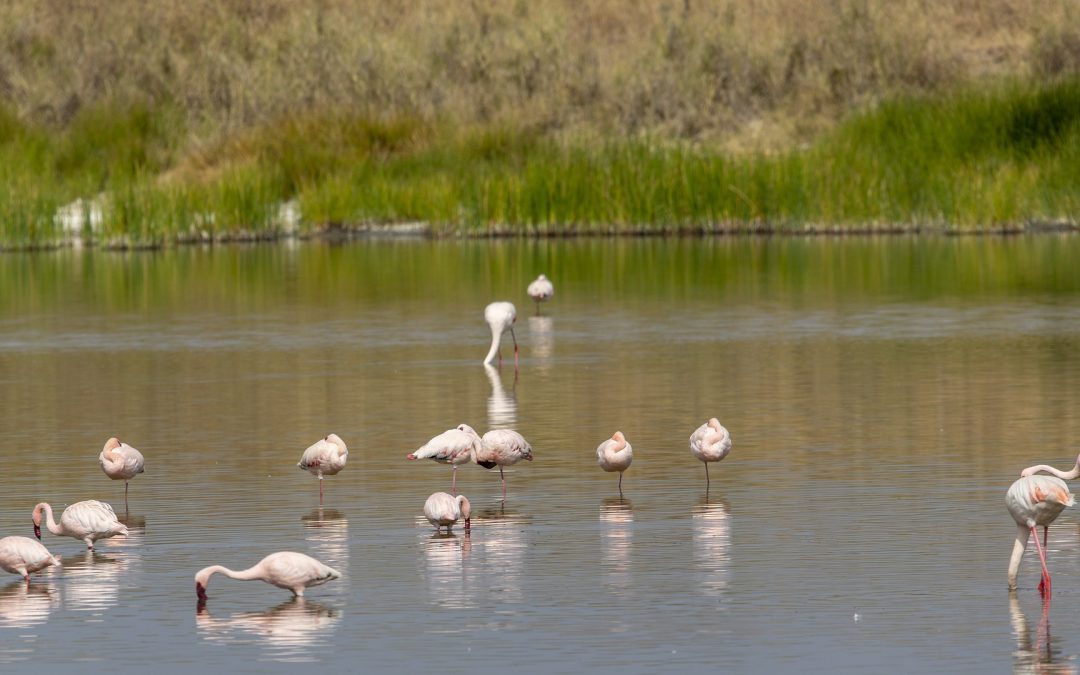 10 Days Tanzania Walking Safari