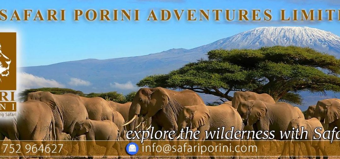 Kilimanjaro Successful Trekking Tips
