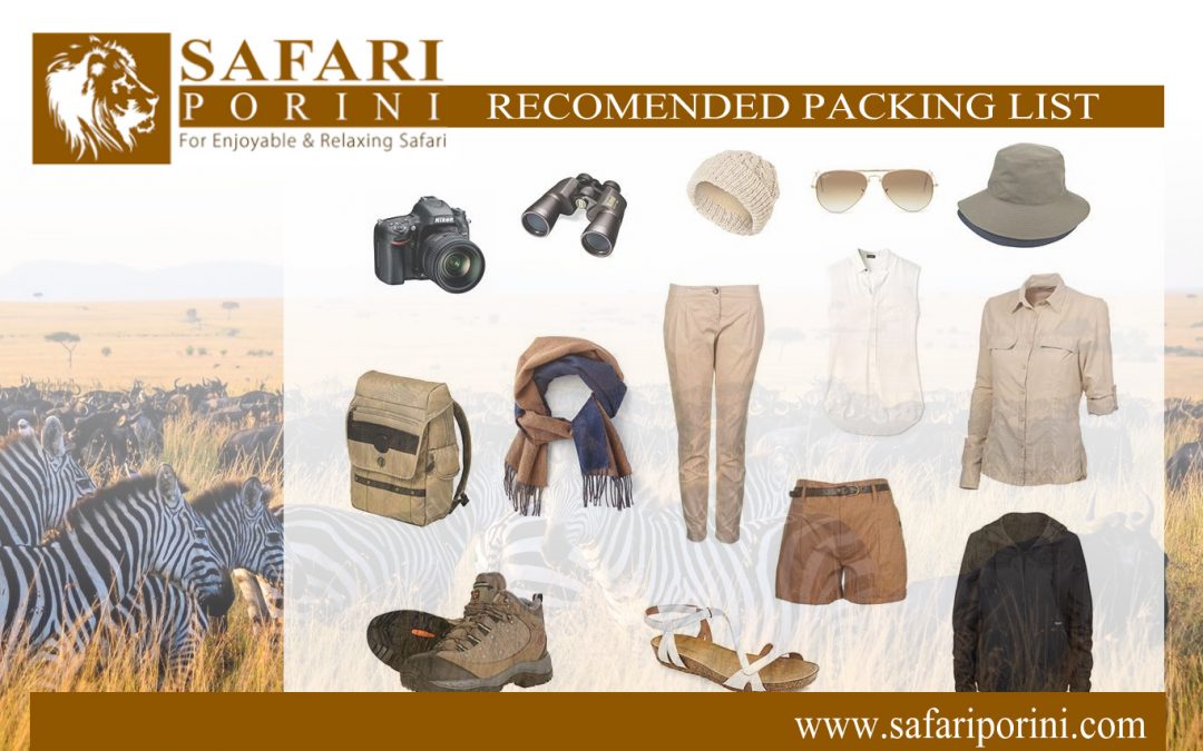 Safari Recommended Packing List