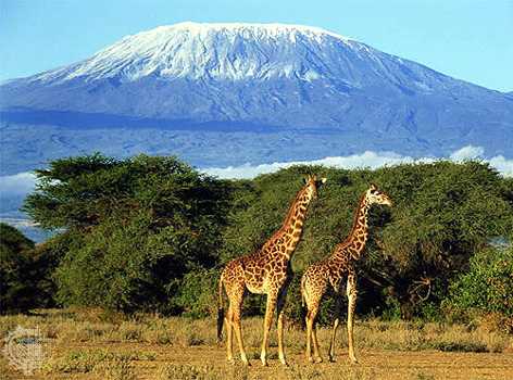 Kilimanjaro National Park
