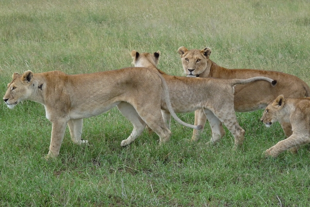 Tarangire National Park