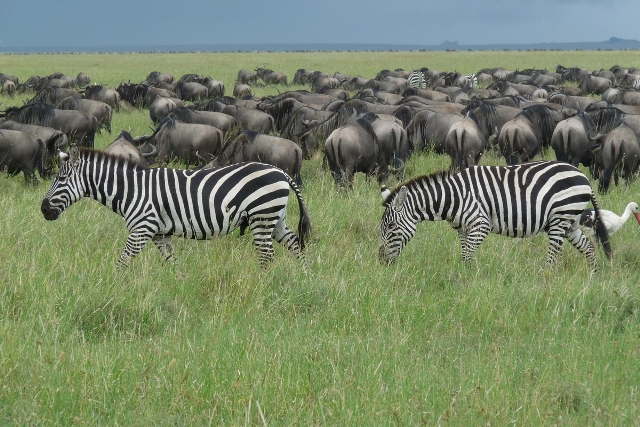 Northern Circuit Tanzania