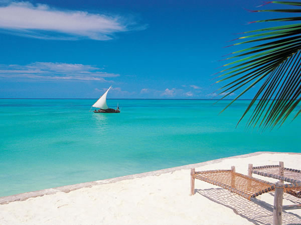 10 Day Combo Tours in Tanzania and Zanzibar
