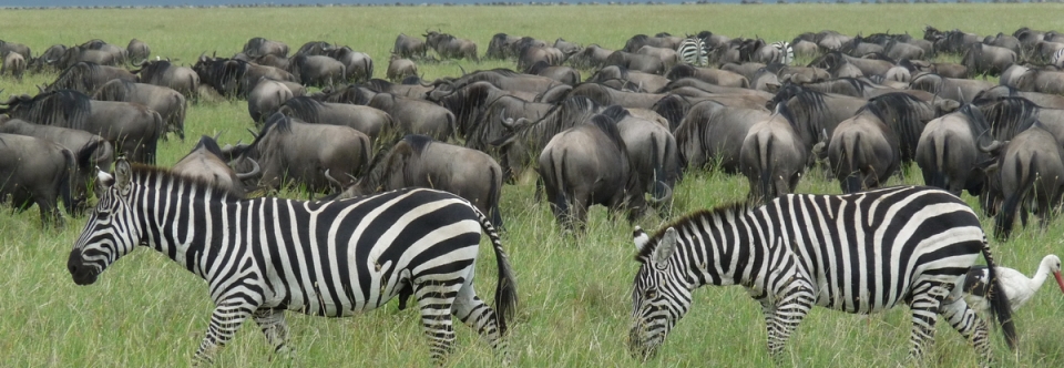 Serengeti National Park