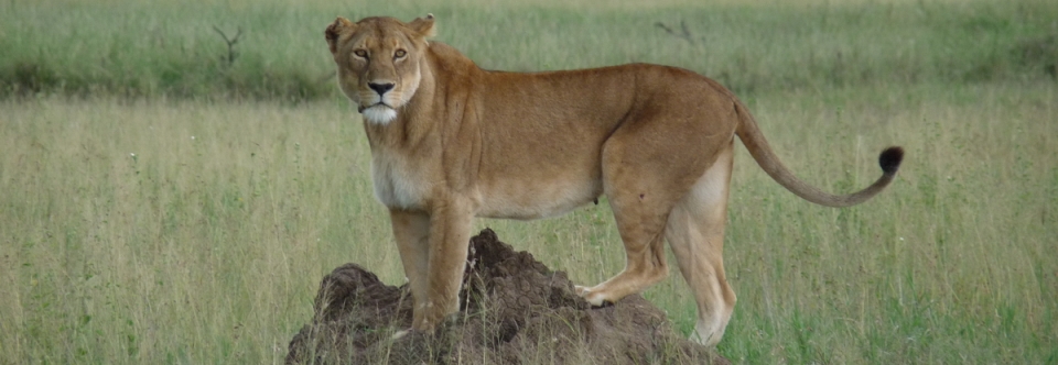 Arusha National Park